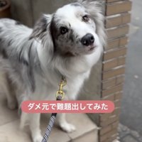 1ヶ月前のこと、思い出せるかな？