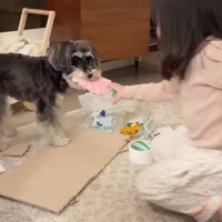 楽しそうに遊ぶ2人
