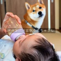 さみしそうなまるくん