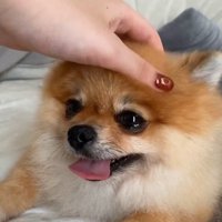 ナデナデされるのが大好き♡