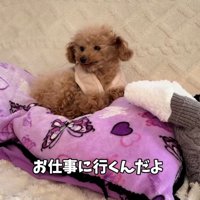 もう一度伝えるパパ