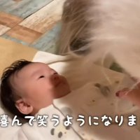 オムツのチェックも欠かさない