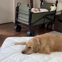 任務完了です！