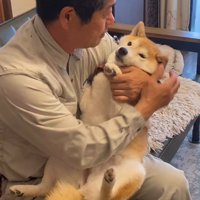 犬を膝の上に乗せる男性