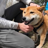 幸せそうにデレデレ♡