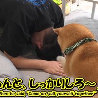 幾三くんは怒ってパンチ！