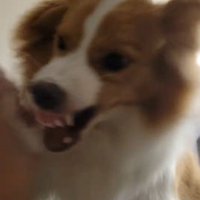 遊ぶ時は怖いくらい全力！