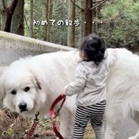 はじめての散歩へ