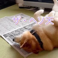 「なんて格好してんの～」