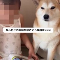 読み聞かせを渋い顔で聞く