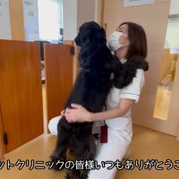 看護師さんに挨拶