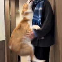 ママのことが大好き♡