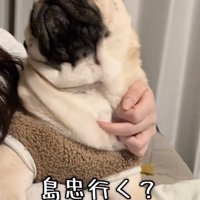 「そら行きますよ」