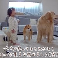 みんなで怒られれば怖くない！？