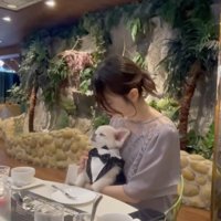 お祝い疲れかな？