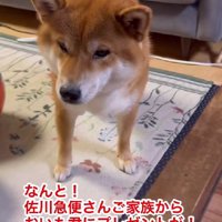 プレゼントをくれたよ♪