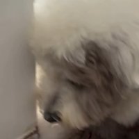 「ちょっと待って」