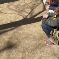 このトイプードルは…