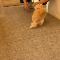 全力で喜ぶ姿にホッコリ♡