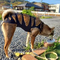 TMレボリューションみたい！！