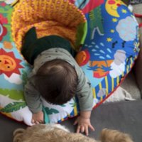 犬を撫でる赤ちゃん