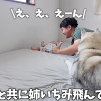 赤ちゃんが転がって泣き出すと…