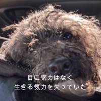 誰のことも信じられない…