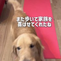 レオンくんの健気さに救われた…