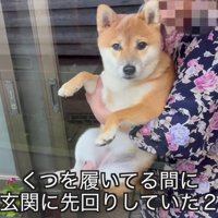 軽々とひまりちゃんを抱っこ