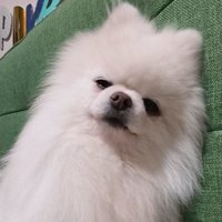 おて