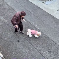 散歩するふたり