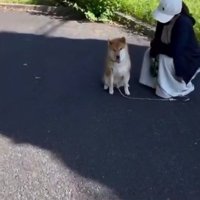 近づいていくパパ