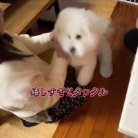 RAUくんの熱烈大歓迎6