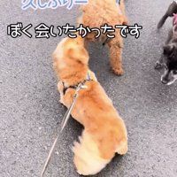喜び大爆発！