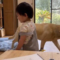 ゴンちゃんが移動すると…