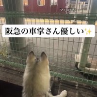 車掌さんが手を振ってくれた♡