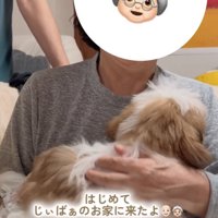 おばあちゃんの膝の上に乗る