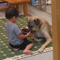 ご飯を食べさせる男の子
