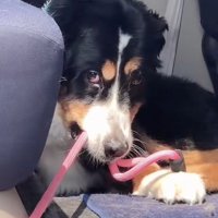 目で訴えるスタイル