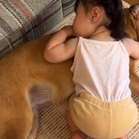わんこも嬉しそう