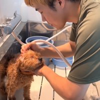 さっそくお手入れ開始