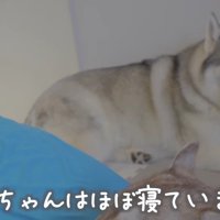 もんちゃんは限界！？