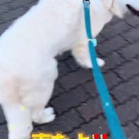 「ホラ！ママが声かけて！！」