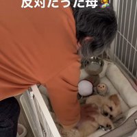 命の重さを知っていたから…