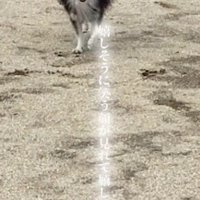 素敵な物語に感動