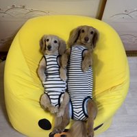 仲良し