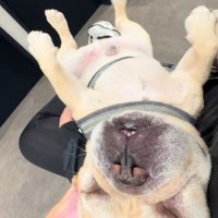 動物病院と思えない！？