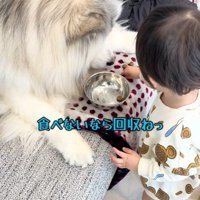 ごはんを回収する息子さん