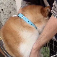 抱っこ回避中…