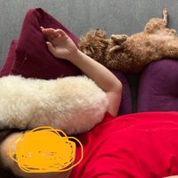 みんなでお昼寝
